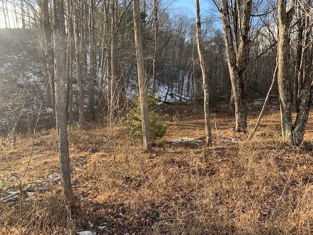 Tbd Upper Back Creek Road Monterey, VA 24465 - Photo 7 of 13 a backyard of a house with lots of green space