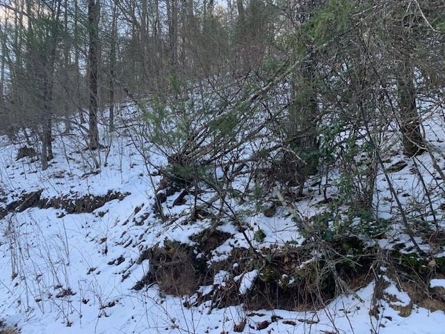 Tbd Upper Back Creek Road Monterey, VA 24465 - Photo 8 of 13 a view of a yard with trees
