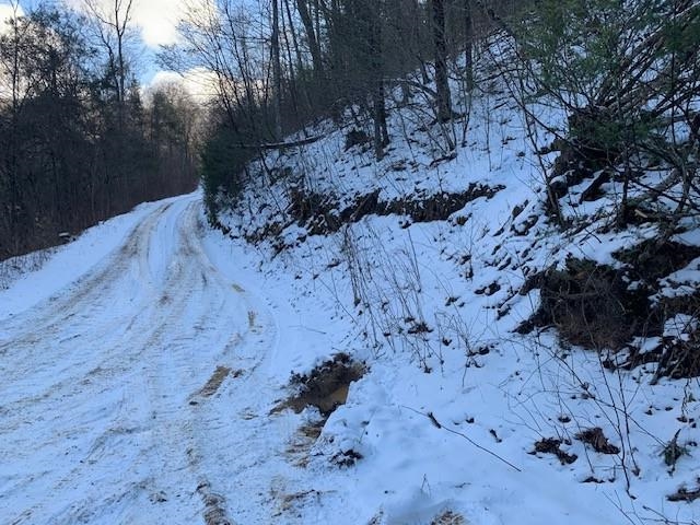 Tbd Upper Back Creek Road Monterey, VA 24465 - Photo 9 of 13 a view of side of a road with a yard