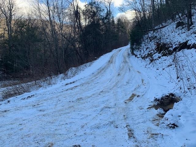 Tbd Upper Back Creek Road Monterey, VA 24465 - Photo 10 of 13 a view of a backyard