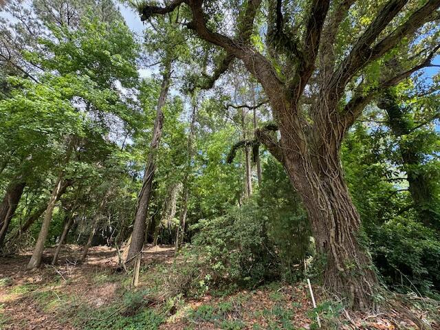 475 Mercantile Road McClellanville, SC 29458 - Photo 2 of 8 IMG_5263