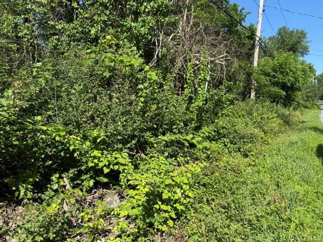 Sutton Road Warwick, NY 10990 - Photo 3 of 5