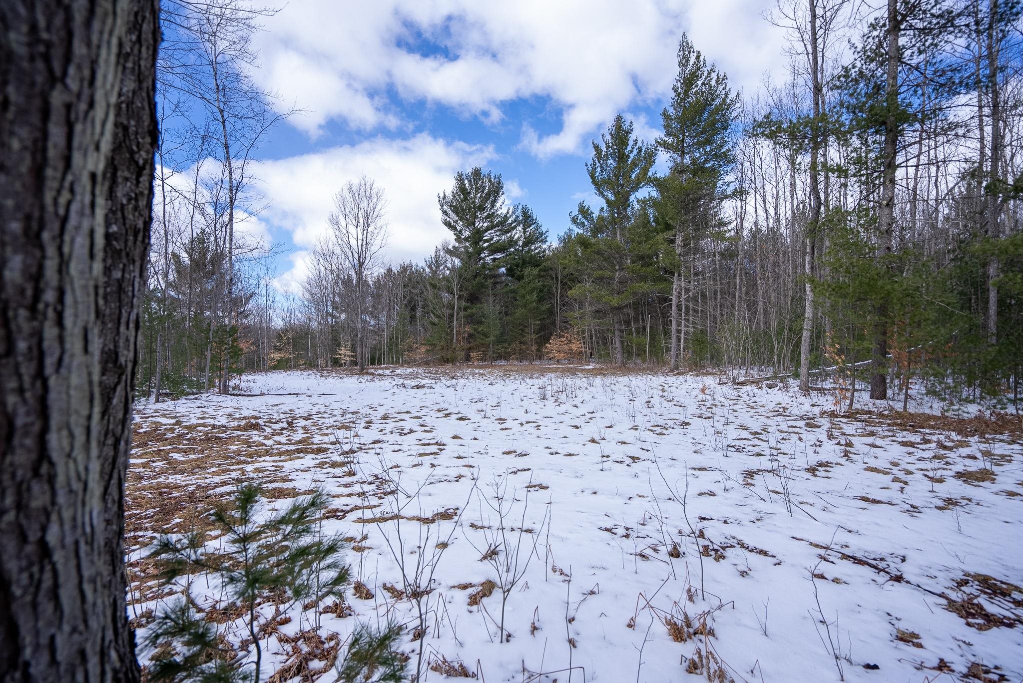 V/l Metzgar Road Northwest Kalkaska, MI 49646 - Photo 16 of 21
