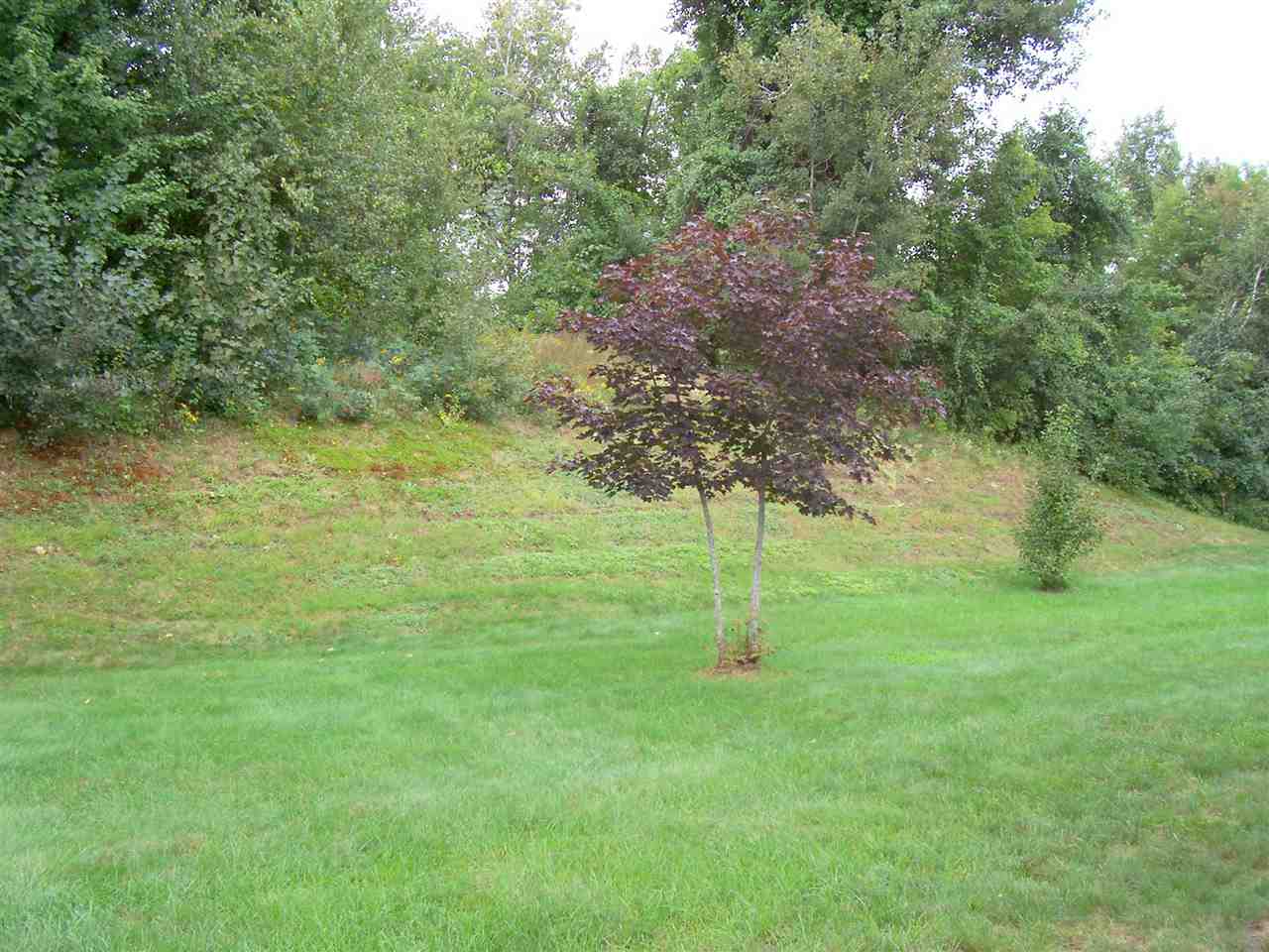 92 Pheasant Hill Road Hooksett, NH 03106 - Photo 14 of 18 Gallery Image 14