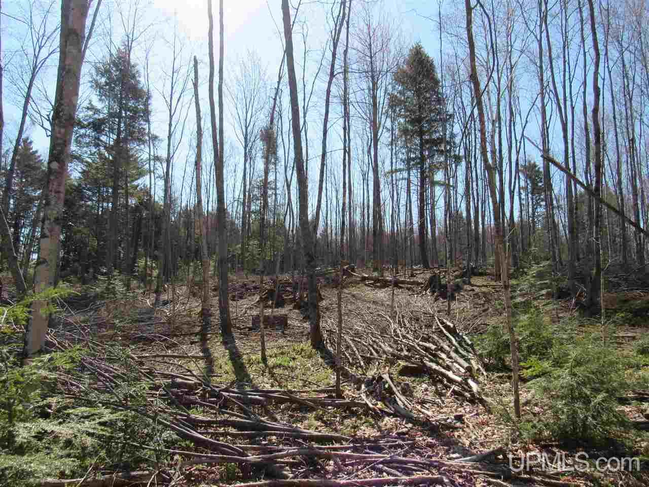 N2510 Co Rd Kch Big Bay, MI 49808 - Photo 21 of 39