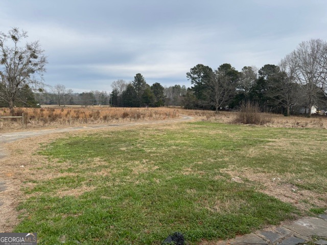 170 Tom Salter Road Thomaston, GA 30286 - Photo 6 of 17