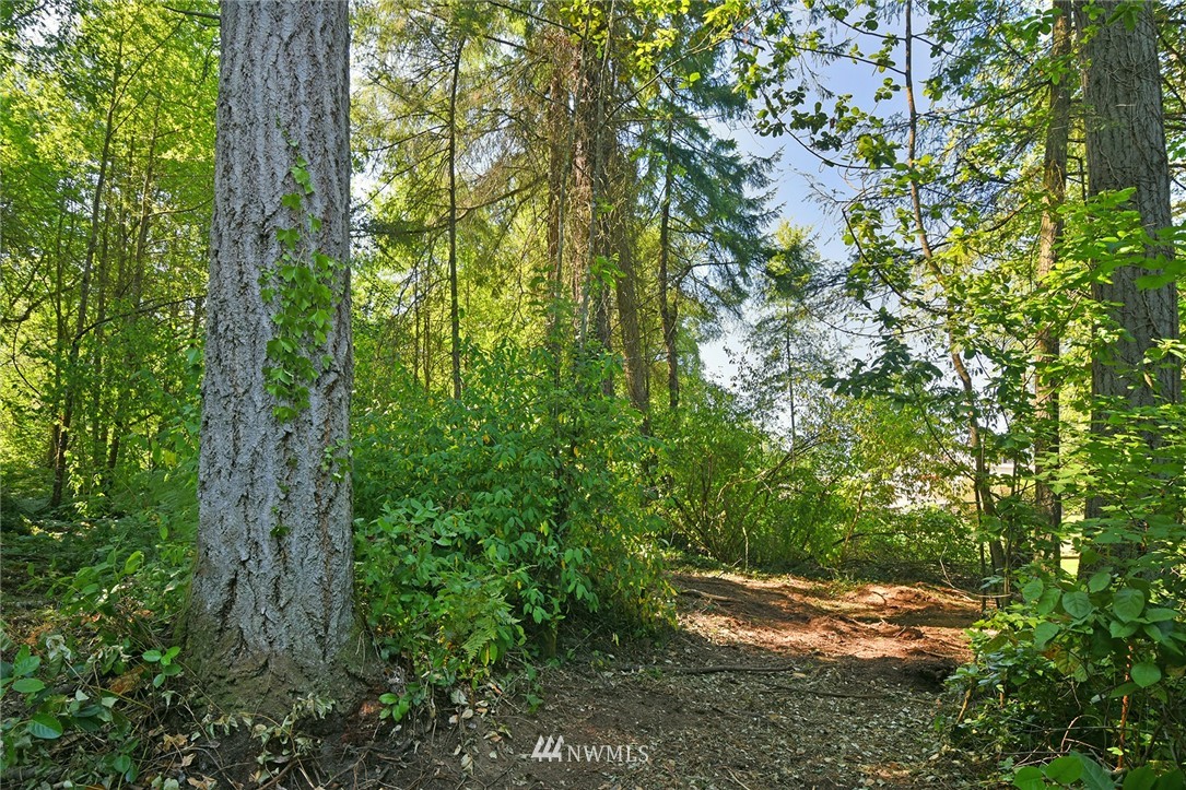 0 Kallgren Road Northeast Bainbridge Island, WA 98110 - Photo 2 of 11 Gallery Image 2