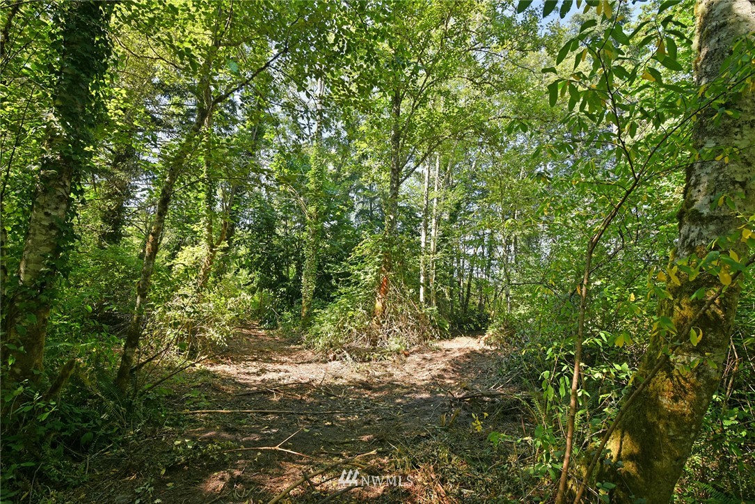 0 Kallgren Road Northeast Bainbridge Island, WA 98110 - Photo 3 of 11 Gallery Image 3