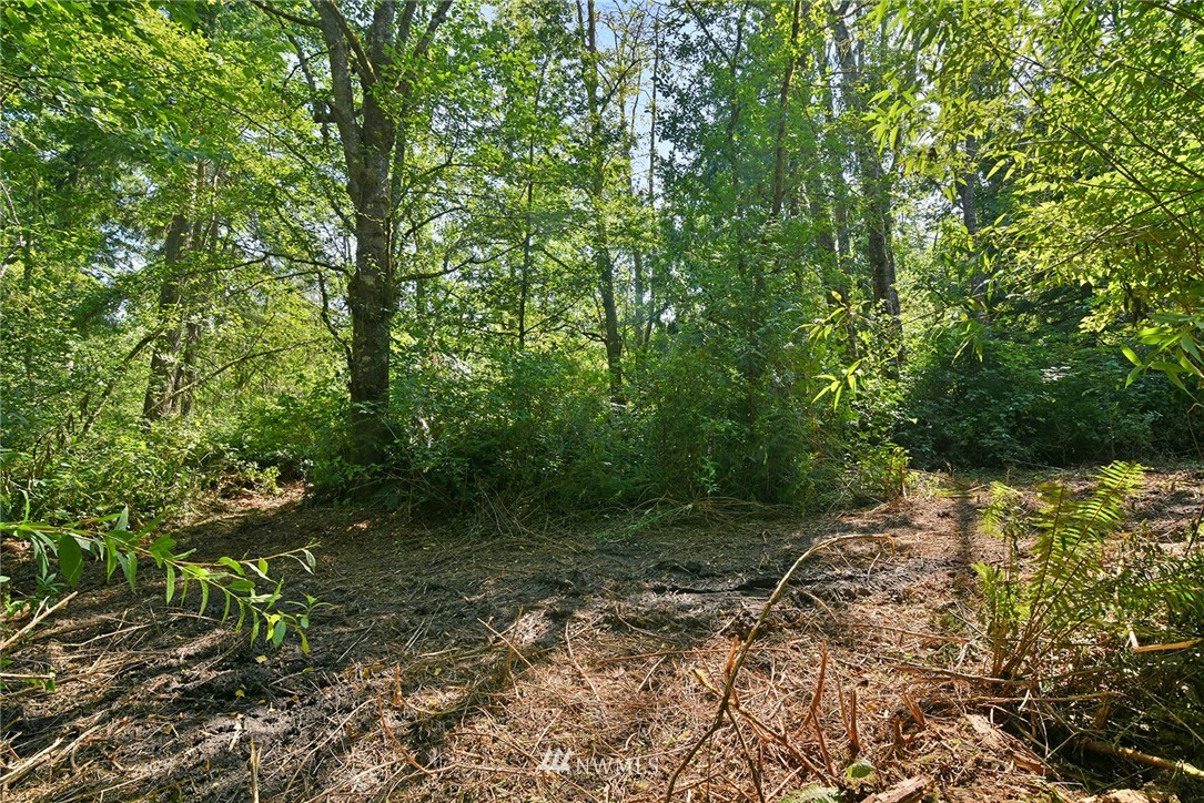 0 Kallgren Road Northeast Bainbridge Island, WA 98110 - Photo 4 of 11 Gallery Image 4