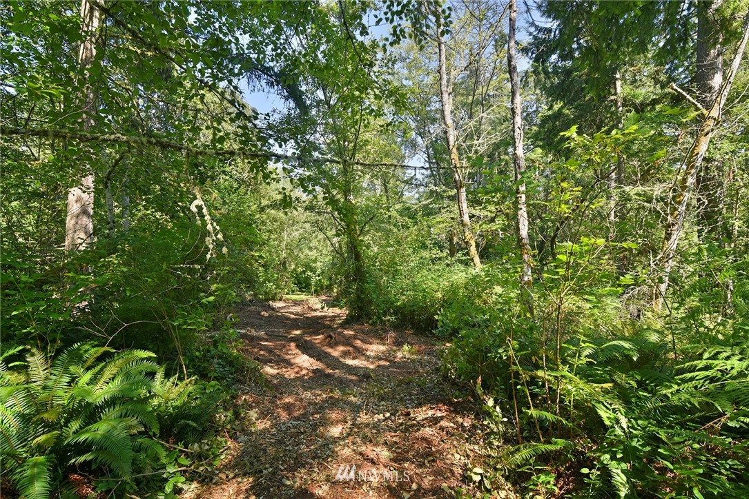 0 Kallgren Road Northeast Bainbridge Island, WA 98110 - Photo 5 of 11 Gallery Image 5