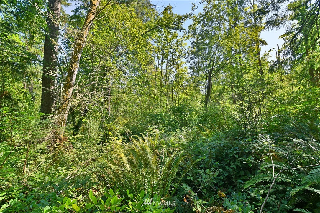 0 Kallgren Road Northeast Bainbridge Island, WA 98110 - Photo 6 of 11 Gallery Image 6