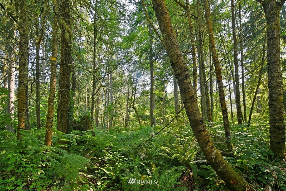 0 Kallgren Road Northeast Bainbridge Island, WA 98110 - Photo 7 of 11 Gallery Image 7