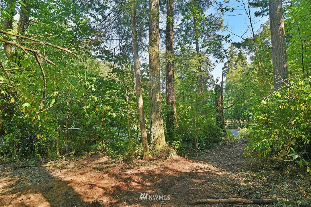 0 Kallgren Road Northeast Bainbridge Island, WA 98110 - Photo 8 of 11 Gallery Image 8