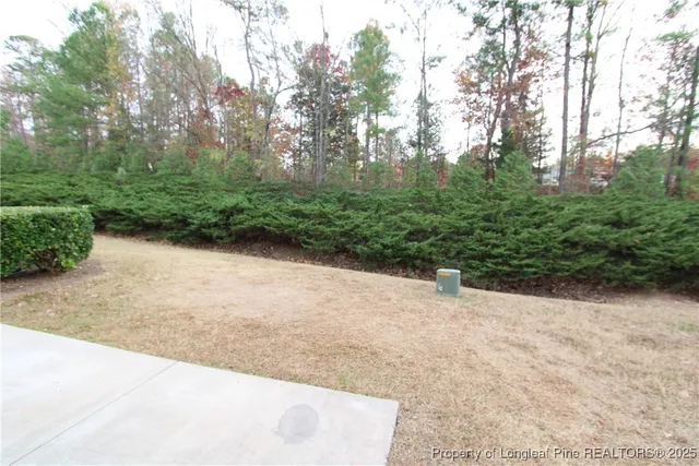 a view of a pathway with a yard