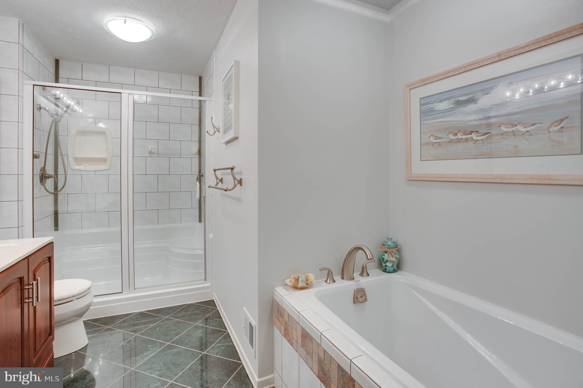 1325 Quail Ridge Drive Reston, VA 20194 - Photo 19 of 27 Updated Bath with separate Tub & Shower