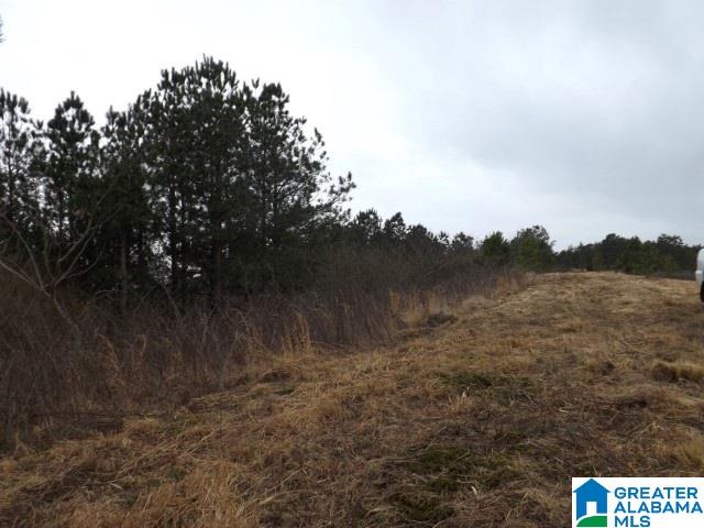 29 Highway Ac Al, Unit 33 Oneonta, AL 35121 - Photo 23 of 23