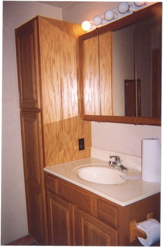 29620 North Bitner Road Glasford, IL 61533 - Photo 5 of 9