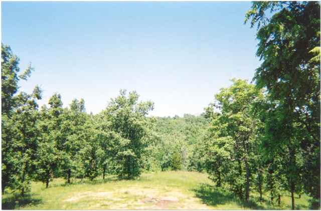 29620 North Bitner Road Glasford, IL 61533 - Photo 9 of 9
