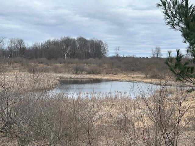 4693 Jefferson Road Lakeview, MI 48850 - Photo 1 of 16 IMG_7724
