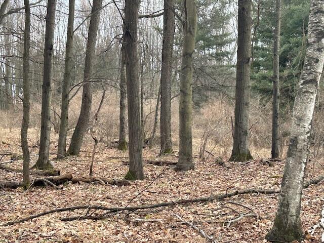4693 Jefferson Road Lakeview, MI 48850 - Photo 12 of 16 IMG_7741