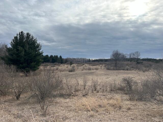 4693 Jefferson Road Lakeview, MI 48850 - Photo 14 of 16 IMG_7743