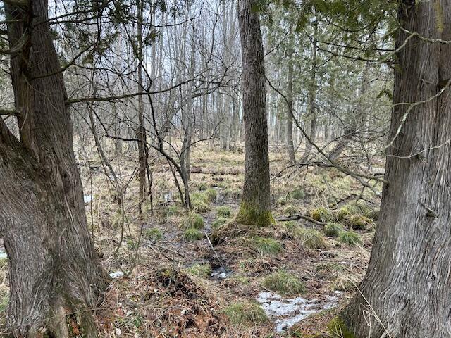4693 Jefferson Road Lakeview, MI 48850 - Photo 2 of 16 Cedar Swamp