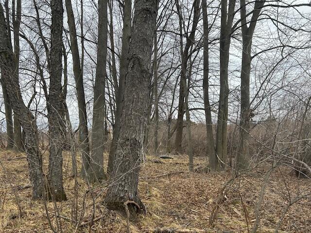 4693 Jefferson Road Lakeview, MI 48850 - Photo 3 of 16 Wood Lot