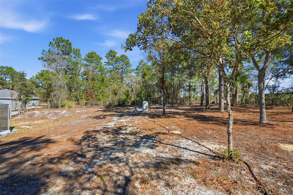 17402 Maberly Road Weeki Wachee, FL 34614 - Photo 50 of 58