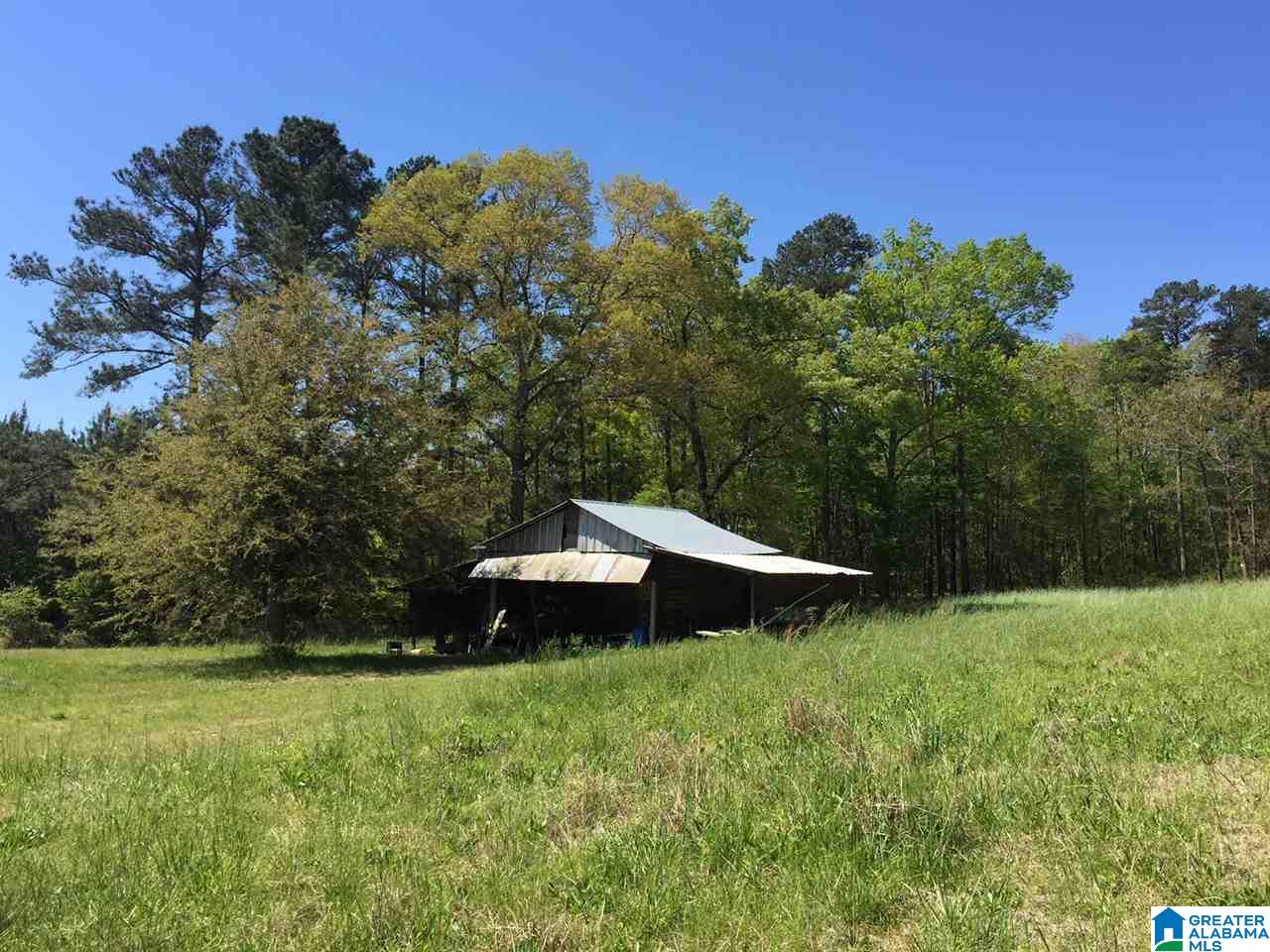 401 Shoal Creek Road Ashville, AL 35953 - Photo 4 of 11
