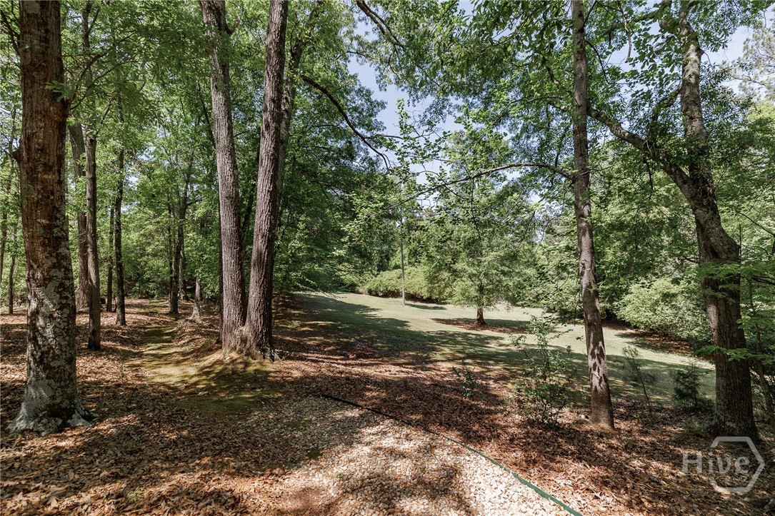 835 Timothy Road Athens, GA 30606 - Photo 52 of 65
