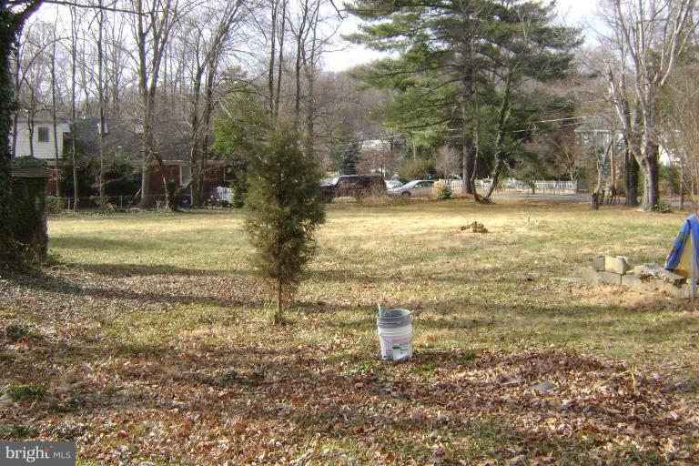 Huge back yard