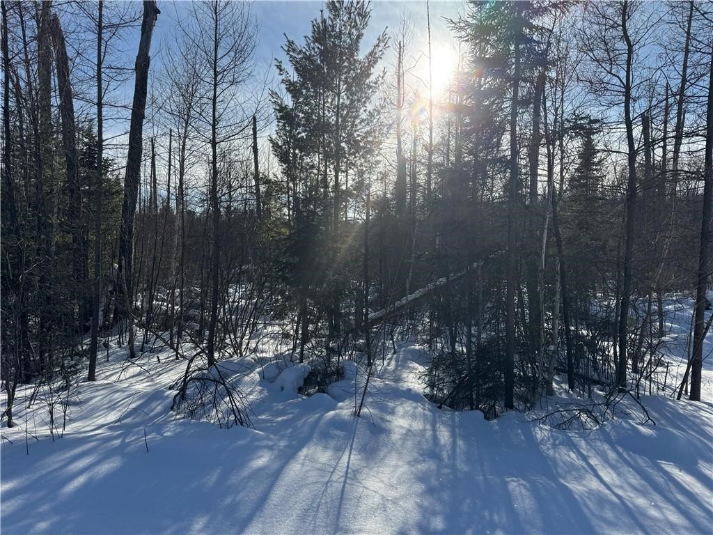 Lot 1 North Eaton Road Hayward, WI 54843 - Photo 1 of 1 Gallery Image 1