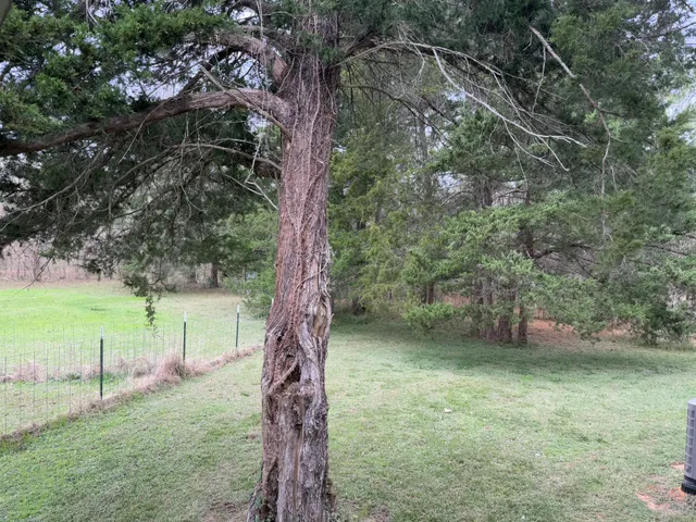 $1,550 | 10161 Pollard Road, Unit 2, Willis, TX 77318