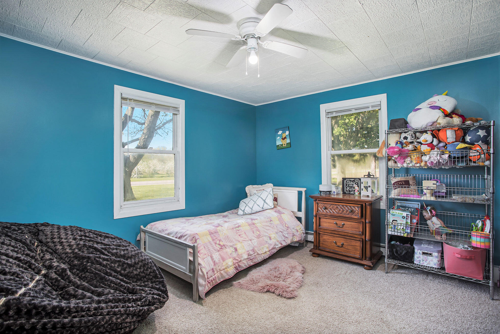 28648 Hackman Road Sturgis, MI 49091 - Photo 6 of 20 28648-Hackman-8-