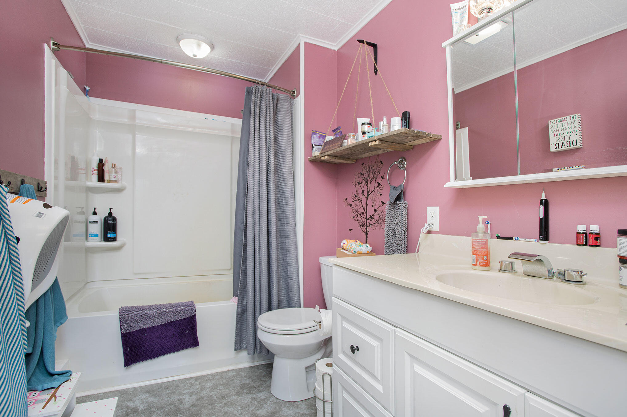 28648 Hackman Road Sturgis, MI 49091 - Photo 7 of 20 28648-Hackman-10-