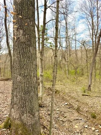 $539,000 | 0 Fyffe Hollow Road, Chillicothe, OH 45601