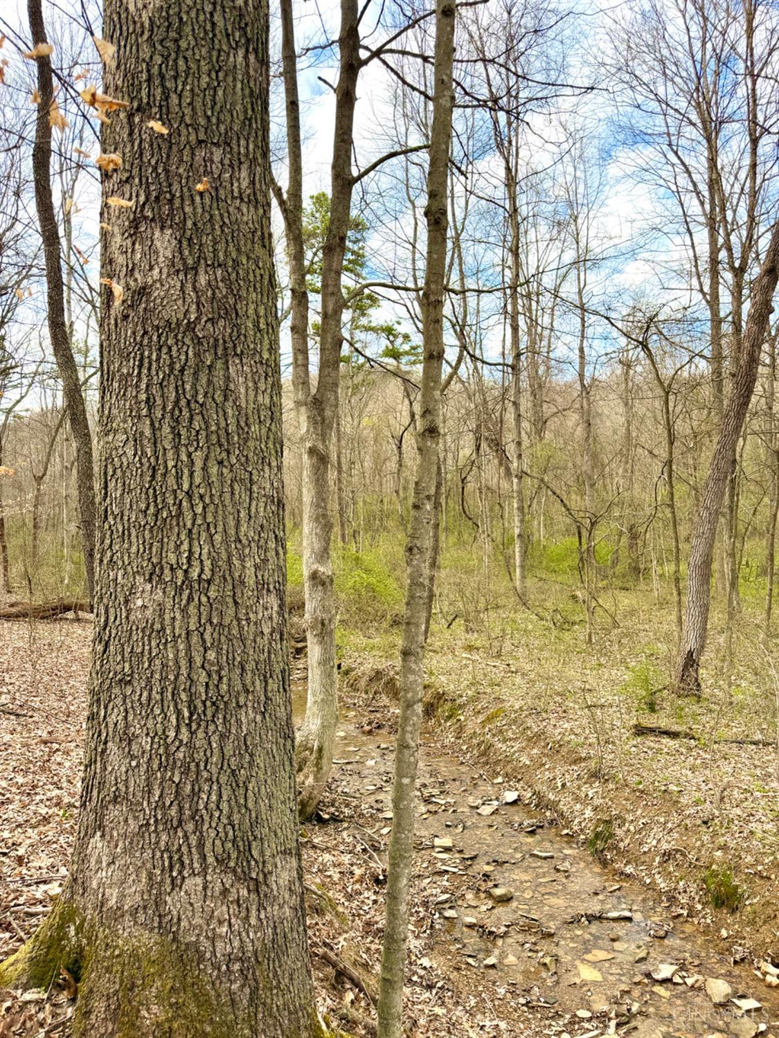 0 Fyffe Hollow Road Chillicothe, OH 45601 - Photo 1 of 96