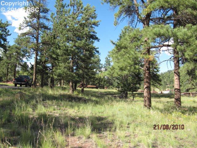 2001 Julia Road Guffey, CO 80820 - Photo 13 of 13
