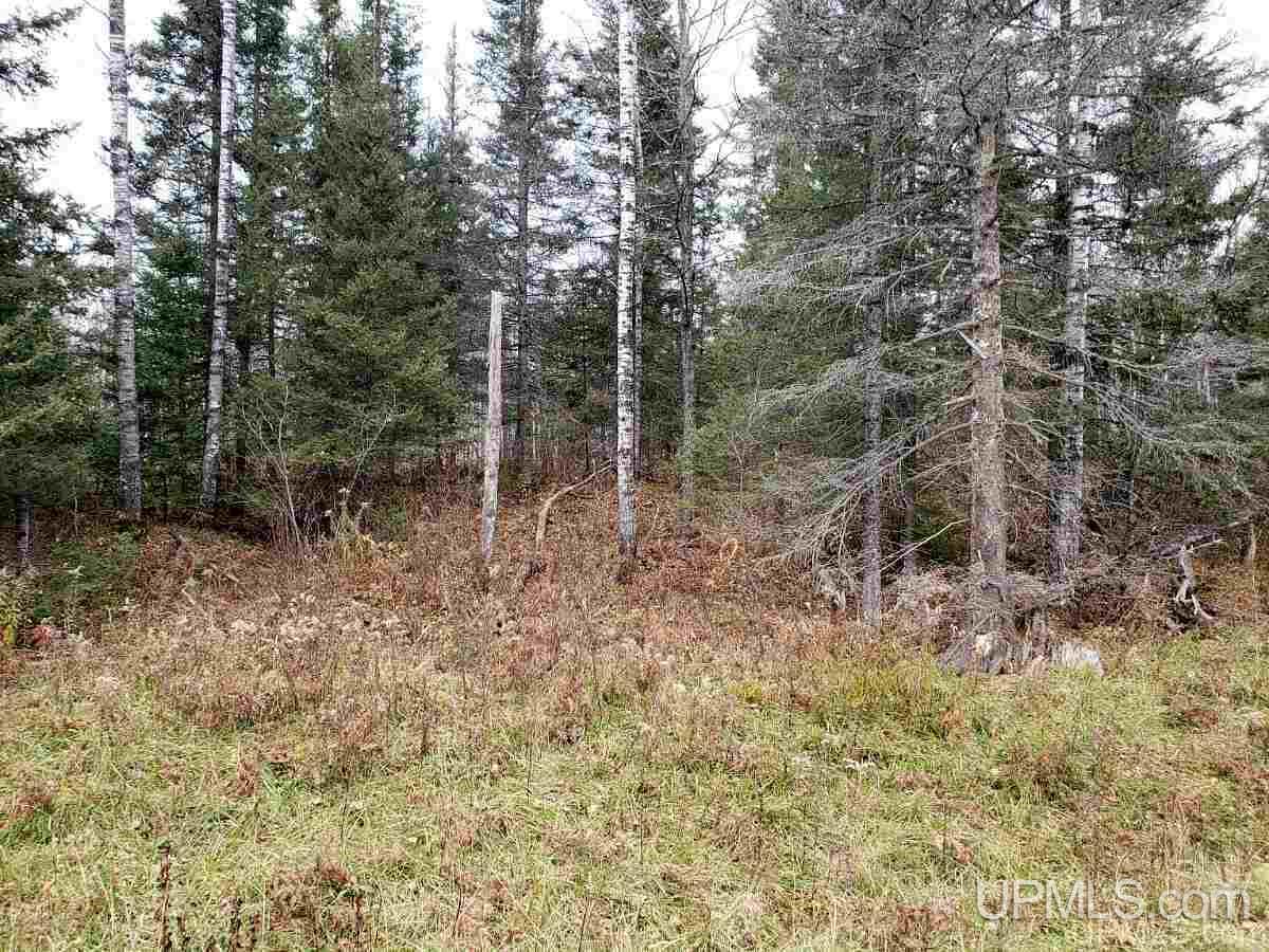 426 Ralph Mi 49877 Felch, MI 49831 - Photo 2 of 3