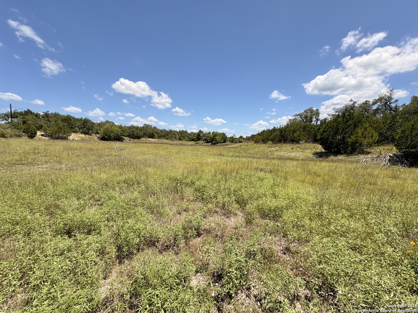 184 Peyton Colony Road Blanco, TX 78606 - Photo 6 of 33
