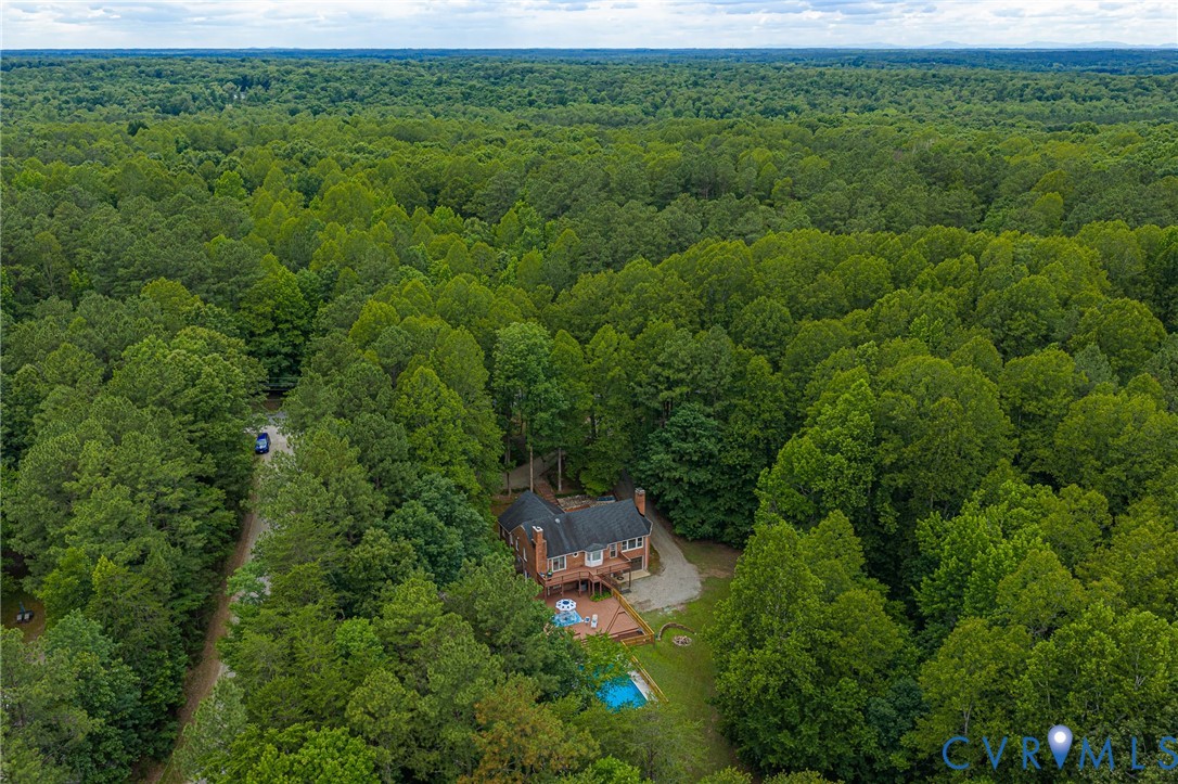 4400 Three Bridge Road Powhatan, VA 23139 - Photo 2 of 44