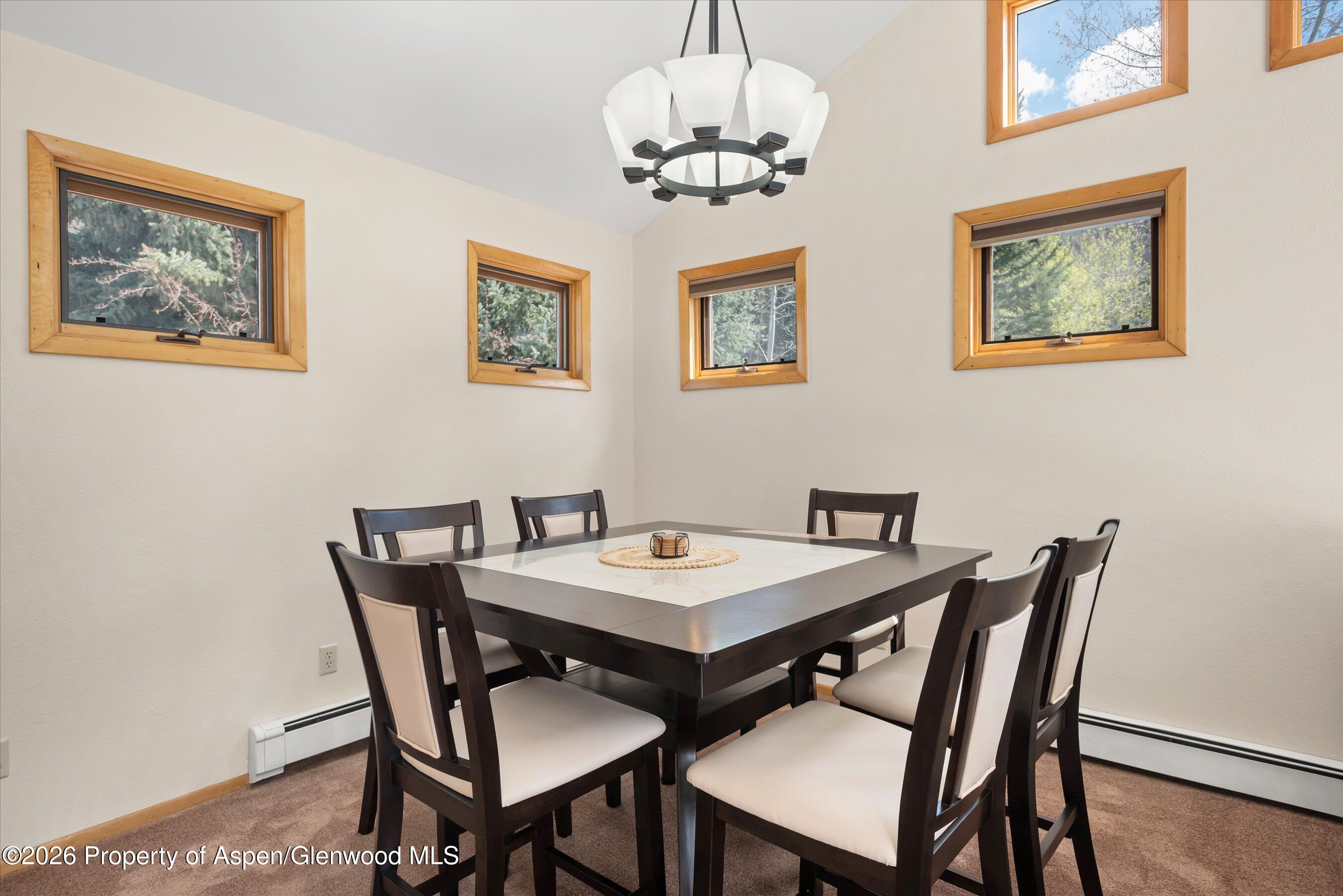 53 Spruce Street, Unit S 1 AND 2 Aspen, CO 81611 - Photo 38 of 67 09-09-536SpruceSt_250429009