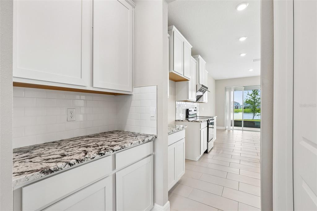327 Mangrove Manor Drive Apollo Beach, FL 33572 - Photo 4 of 30
