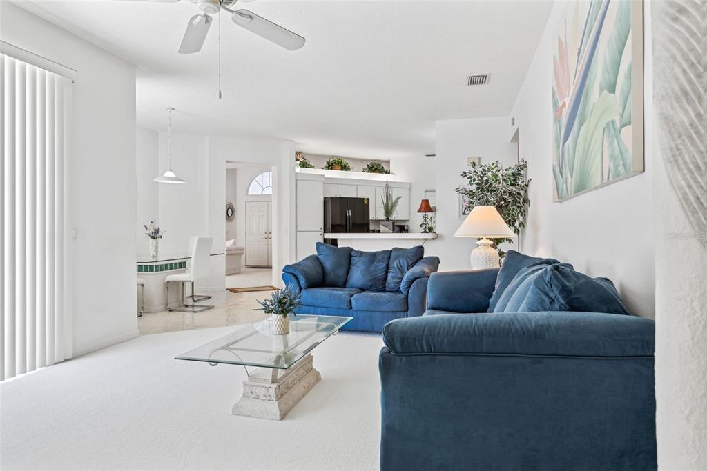 9016 Easthaven Court New Port Richey, FL 34655 - Photo 13 of 38 a living room with furniture and a fireplace