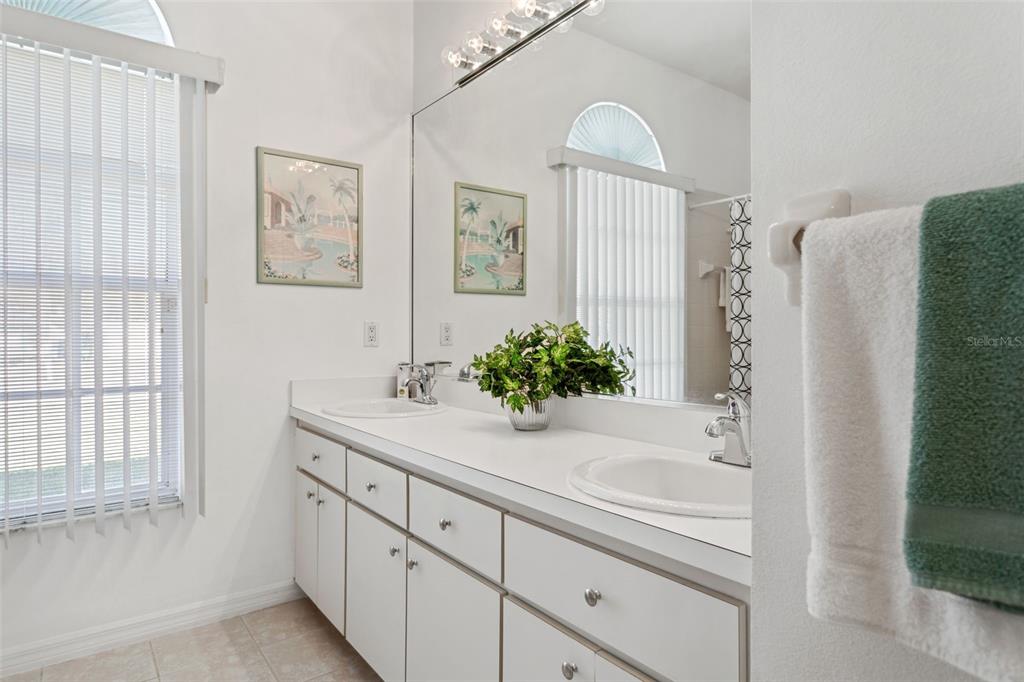 9016 Easthaven Court New Port Richey, FL 34655 - Photo 21 of 38 a bathroom with a sink and a mirror