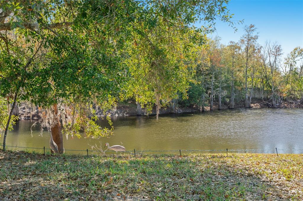 9016 Easthaven Court New Port Richey, FL 34655 - Photo 29 of 38 a view of a lake with houses