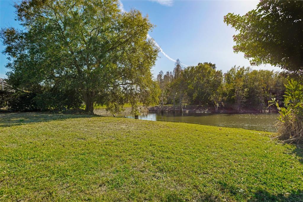 9016 Easthaven Court New Port Richey, FL 34655 - Photo 31 of 38 a view of an outdoor space and a yard
