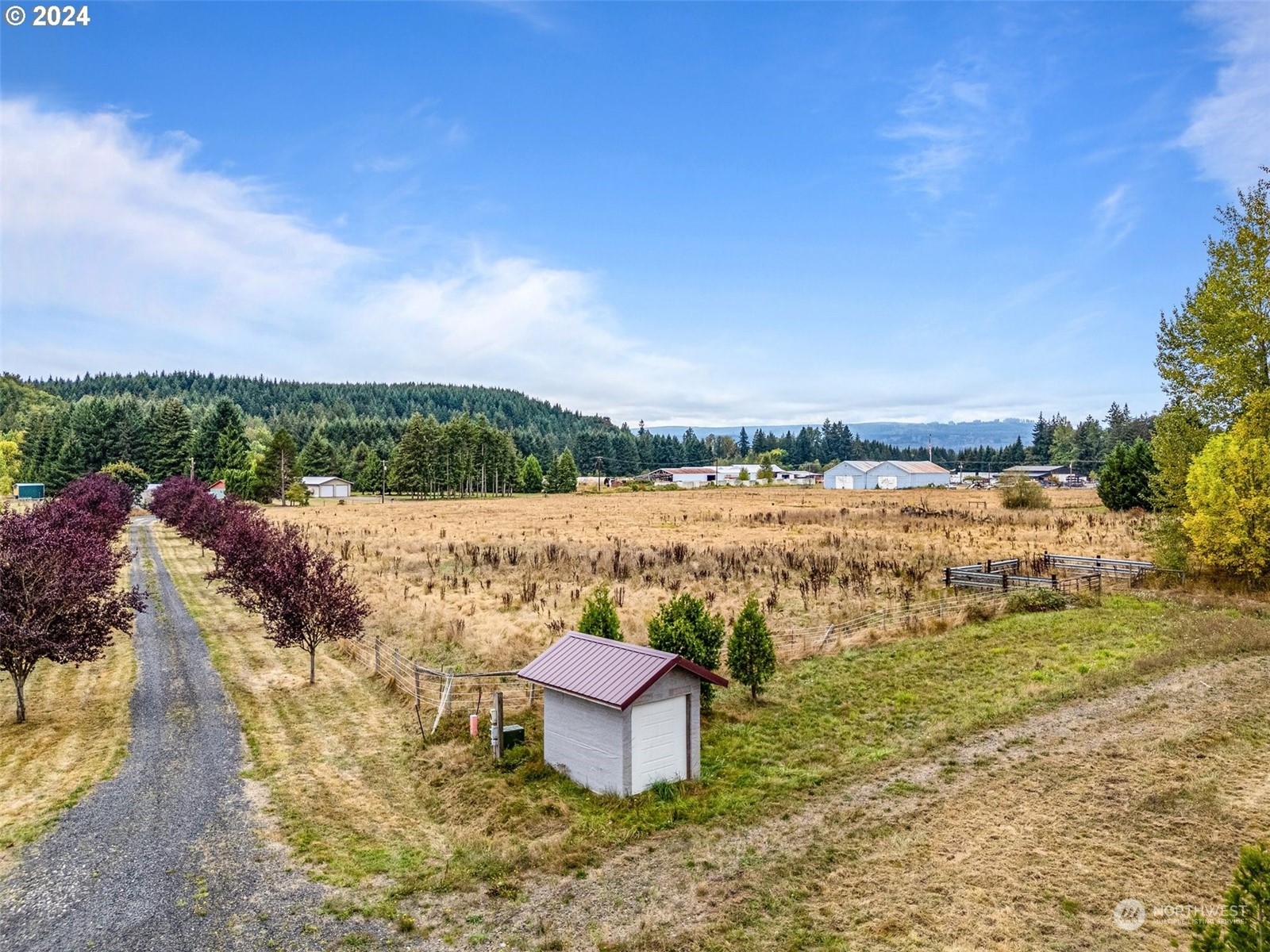143 Smokey Valley Road Toledo, WA 98591 - Photo 24 of 40 Gallery Image 24