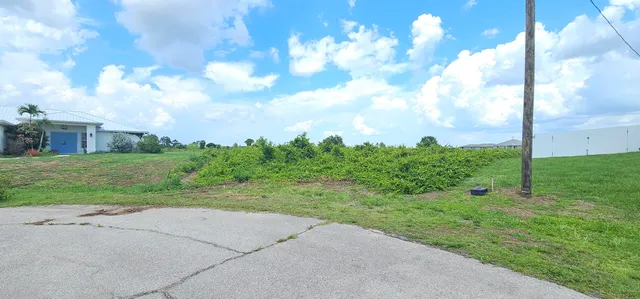 a view of a garden with pathway