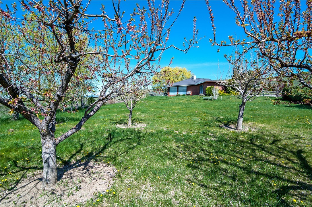 1671 Christensen Road Ellensburg, WA 98926 - Photo 20 of 25 Gallery Image 20